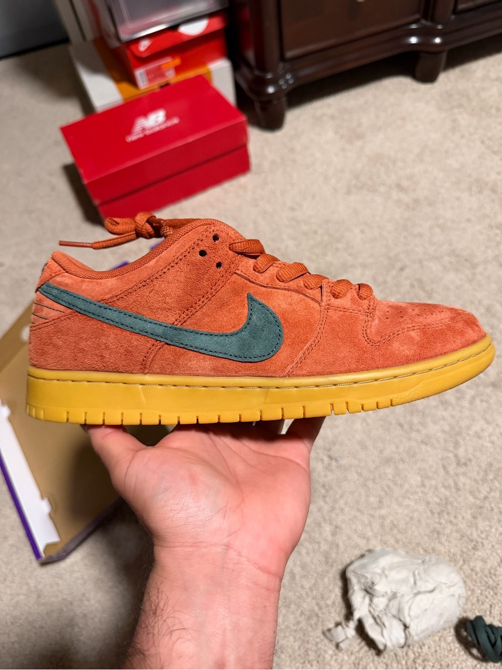 Nike SB Dunk Low Pro